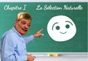 :Selection-onchoise: