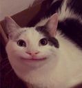 :chat_rire_copain_2: