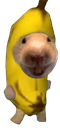 :uuuu:
