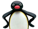 :Pingu_2: