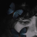 BlueLadyShow