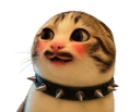 :chat_marrant_cash: