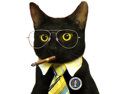 :CIA_CAT2: