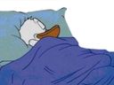 :donaldodo: