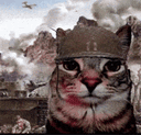 :Chat_ptsd: