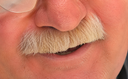 :risotto_zoom: