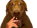 :Clope-TARAXv2: