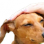 Photo de profil de JVCucks