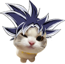 :Goku_chat: