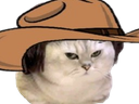 :chatcowboy: