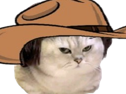 :chatcowboy:
