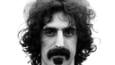:frank_tete: