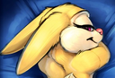 :lapin_carrot3: