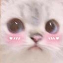 LilyLota