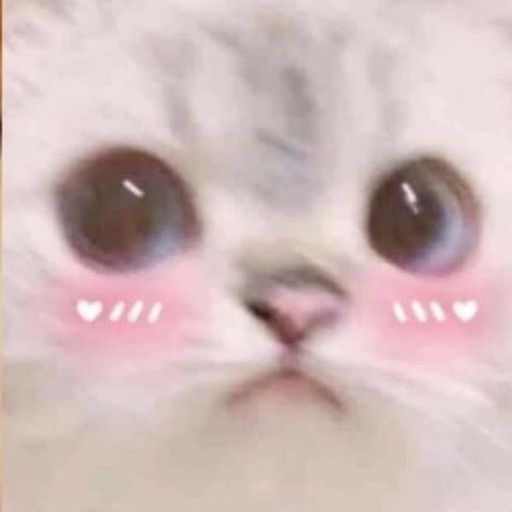 LilyLota