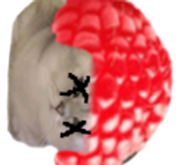 :deadkot1: