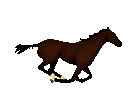 :cheval_galop: