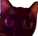 :Zoomy: