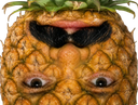 :ananas_inverse: