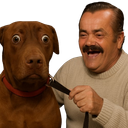 :teddirisitas: