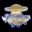 Photo de profil de Jellyfish