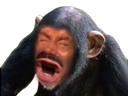 :mdr_risitas: