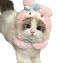 :chatmimi: