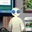 Photo de profil de SplatmyXp