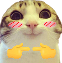 :chat_marrant_timide: