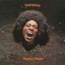 MaggotBrain
