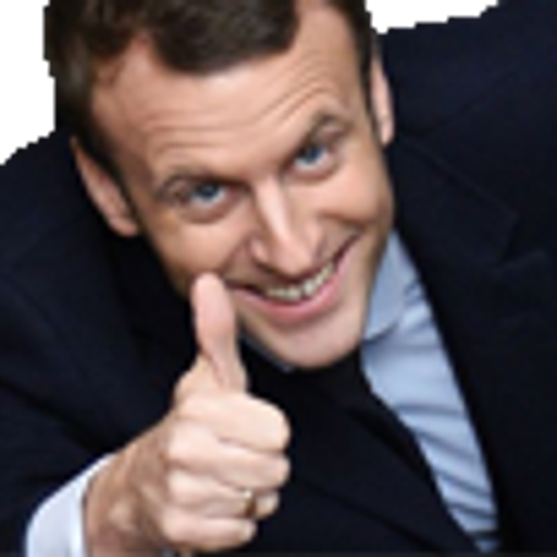 Fion2Macron