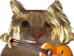 :kurtcat:
