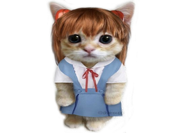 :chatsuka: