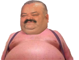 :gros_porc: