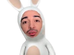 :Lapin_raptor: