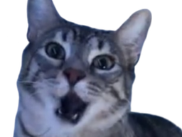 :CS_Choc: