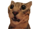 :chat_choqbar: