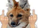 :tonyfuck: