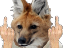 :tonyfuck: