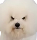 :Yatangakli: