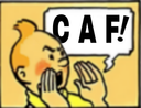 :Tintin_CAF: