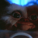 Gizmo