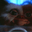Photo de profil de Gizmo