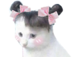 :Chat_couettes: