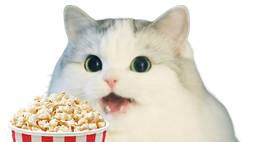 :Cattopop: