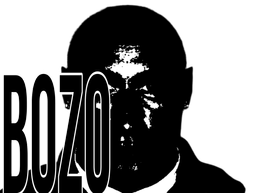 :bozo: