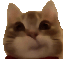 :MouaisMouais: