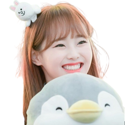 :chuu_sourire: