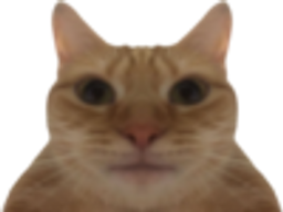 :chat-mirroir:
