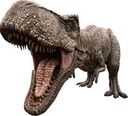 :Tyrannosaure_machoire: